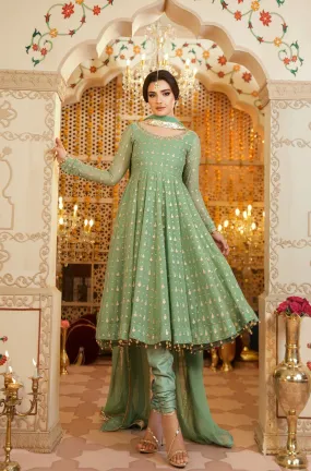 Pista Green Embroidered Chiffon Frock (Masakali)